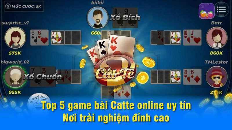 Top 5 game bài Catte online uy tín: Nơi trải nghiệm đỉnh cao